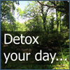 Detox Your Day