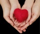 Hands holding a heart